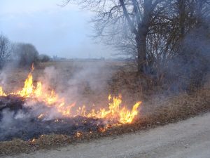 Złośliwe podpalanie trawy na wiosnę jest bardzo szkodliwe dla ludzi i przyrody