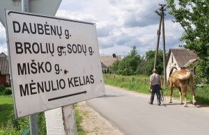 Za przykładem mieszkańców gminy szaternickiej poszły również inne gminy — awiżeńska, kowalczucka, czy (jak na zdjęciu) rudomińska Fot. Marian Paluszkiewicz