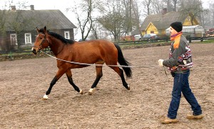 Codziennie konie muszą trenować minimum godzinę-półtorej Fot. Marian Paluszkiewicz