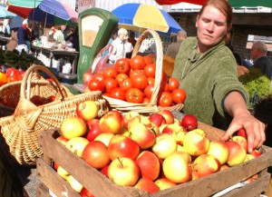 W odróżnieniu od Litwy, na rosyjskim rynku polskie jabłka były cenione dotąd za dobrą jakość i niską cenę    Fot. Marian Paluszkiewicz