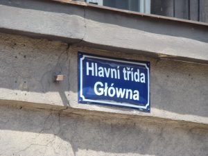  Kiedy i na Litwie zalegalizuje się dwujęzyczne tabliczki ulic? Fot. archiwum