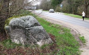  Kamień przy drodze pamięta czasy międzywojennej granicy polsko-litewskiej Fot. Marian Paluszkiewicz