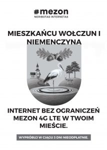 mezon (internet)