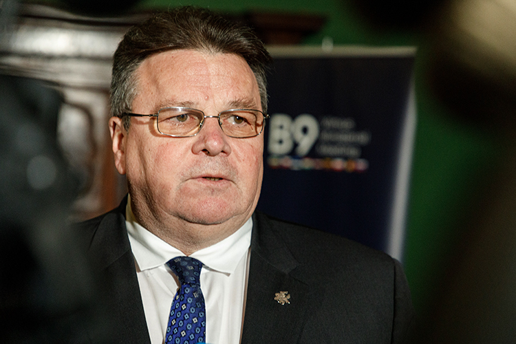 Minister Spraw Zagranicznych Linkevičius w samoizolacji
