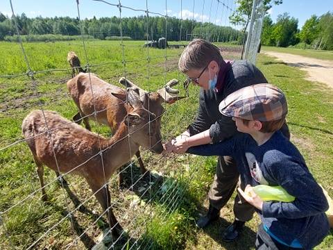 Deer SPA – sposób na terapię z jeleniami