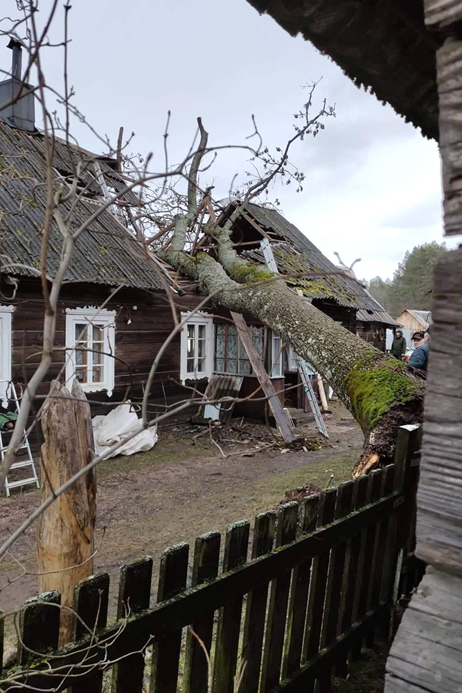 Dom 86-latka zniszczyło drzewo. Straż pożarna odmówiła pomocy