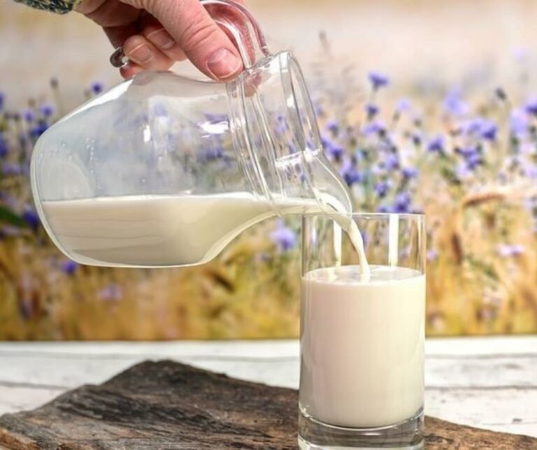 Okres przejściowy został przedłużony — małe gospodarstwa będą mogły dostarczać świeżo dojone mleko nieschłodzone