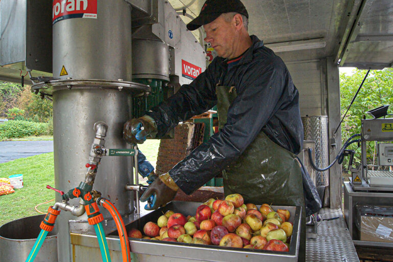 Robotnik przy wyciskaniu soków z jabłek.