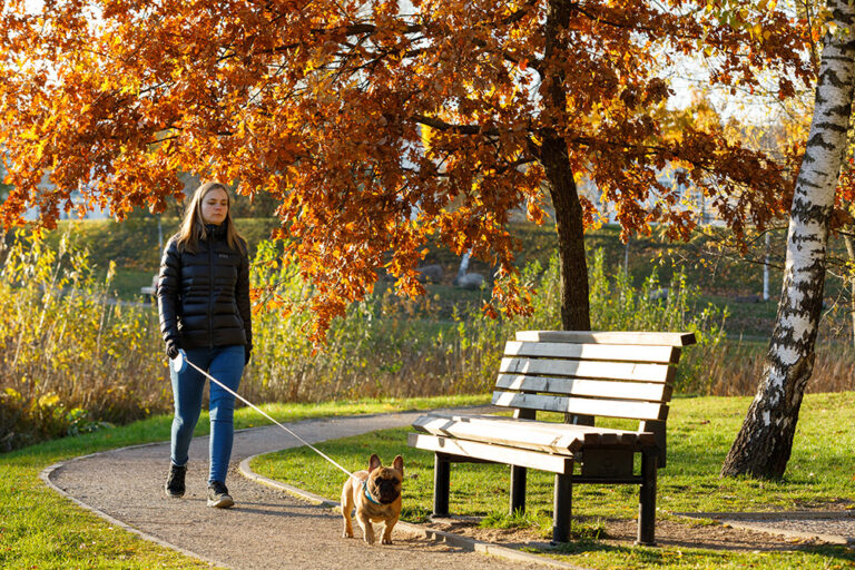 Kobieta z psem na spacerze jesienią.