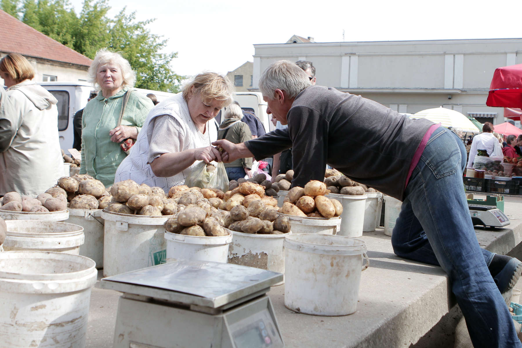 Ziemniaki na bazarze.