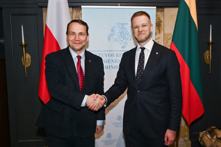 Sikorski w Wilnie mówił o bezpieczeństwie i relacjach polsko-litewskich