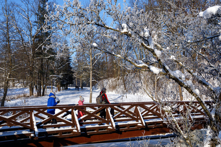 Dzieci idące przez most zimą.