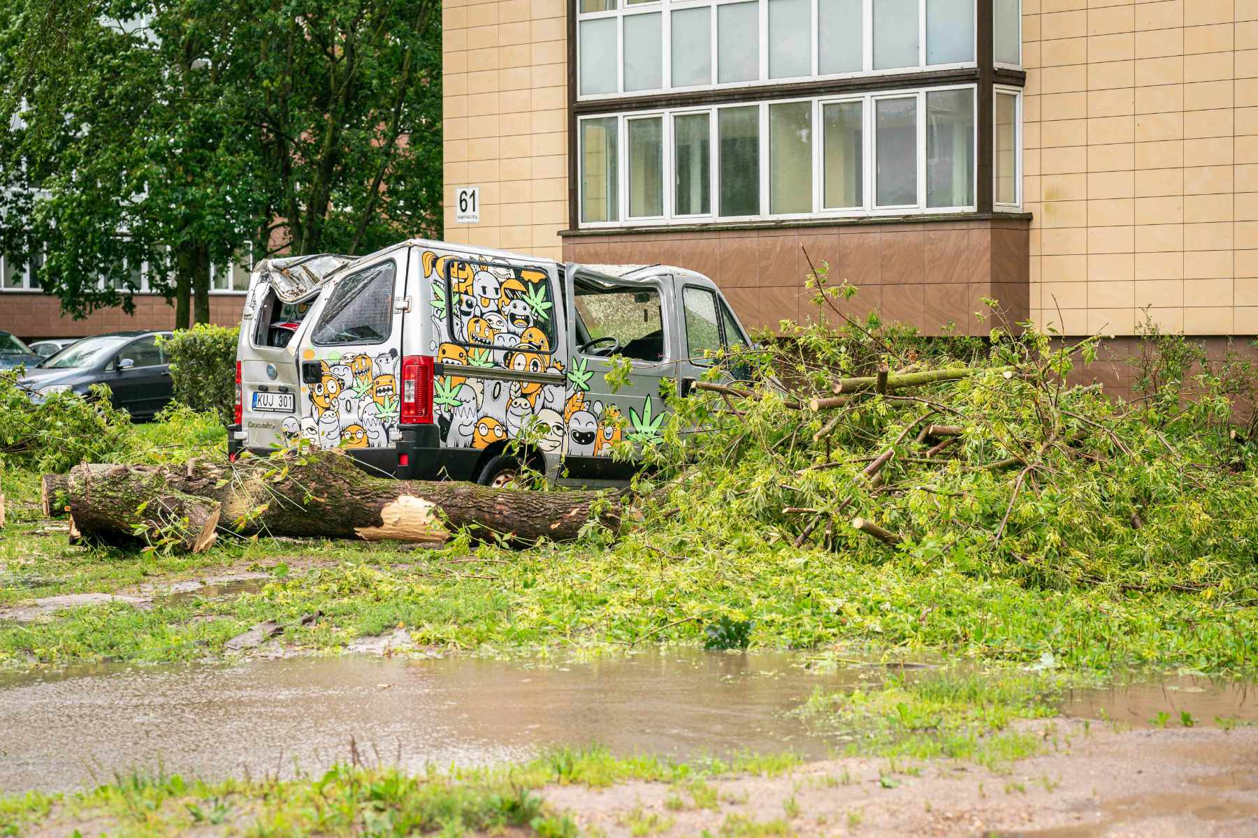 Strażacy i ratownicy interweniowali ponad 900 razy usuwając powalone drzewa i gałęzie.