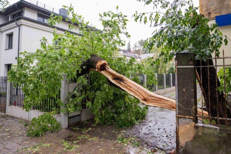 Ulewny deszcz i silny wiatr wyrządziły ogromne szkody w całej Litwie.