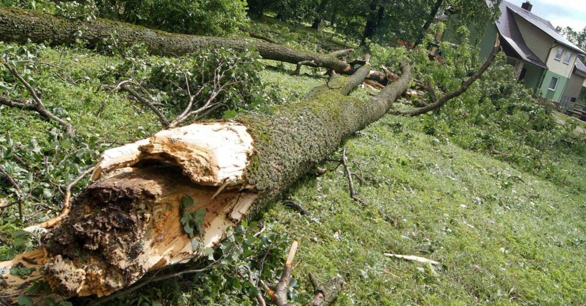 Gwałtowne wichury przeszły przez Litwę, eksperci zachęcają do ubezpieczenia mienia