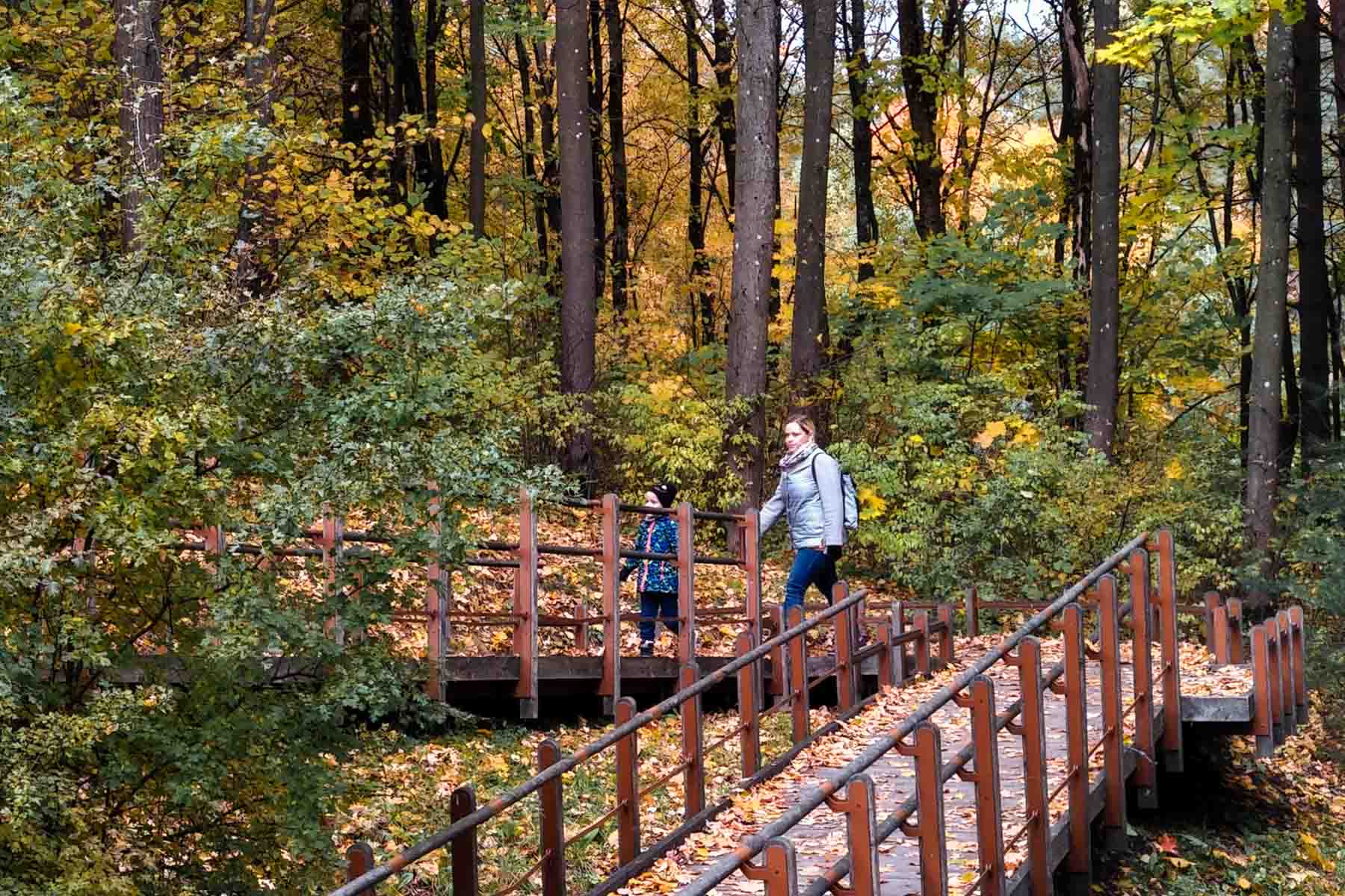 ZDROWIE-Ciemna-2025-10-28 Dróżki drzewniane w lesie.