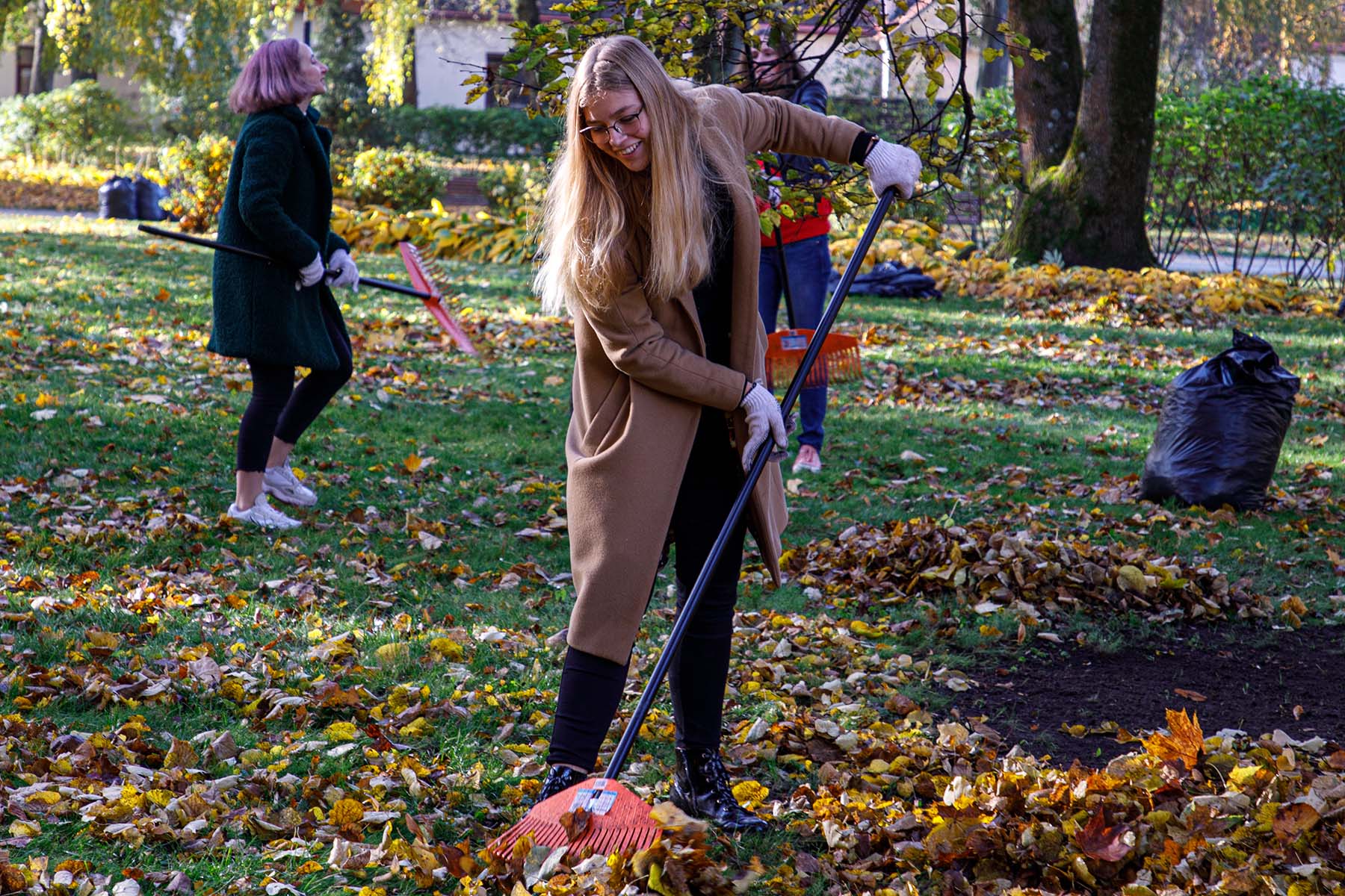 Dziewczyna grabie liście.