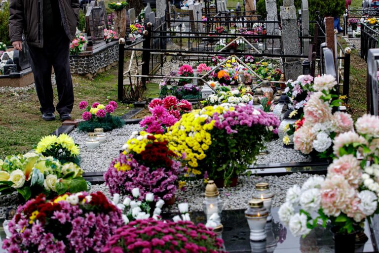Cmentarz w kwiatach.