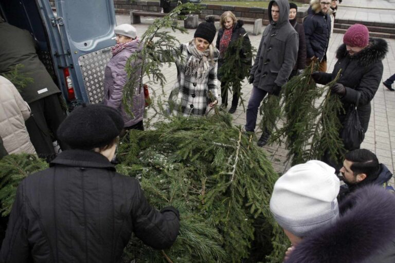 Oddaj krew, dostań choinkę. Ruszyła jednodniowa akcja w klinice Santaros