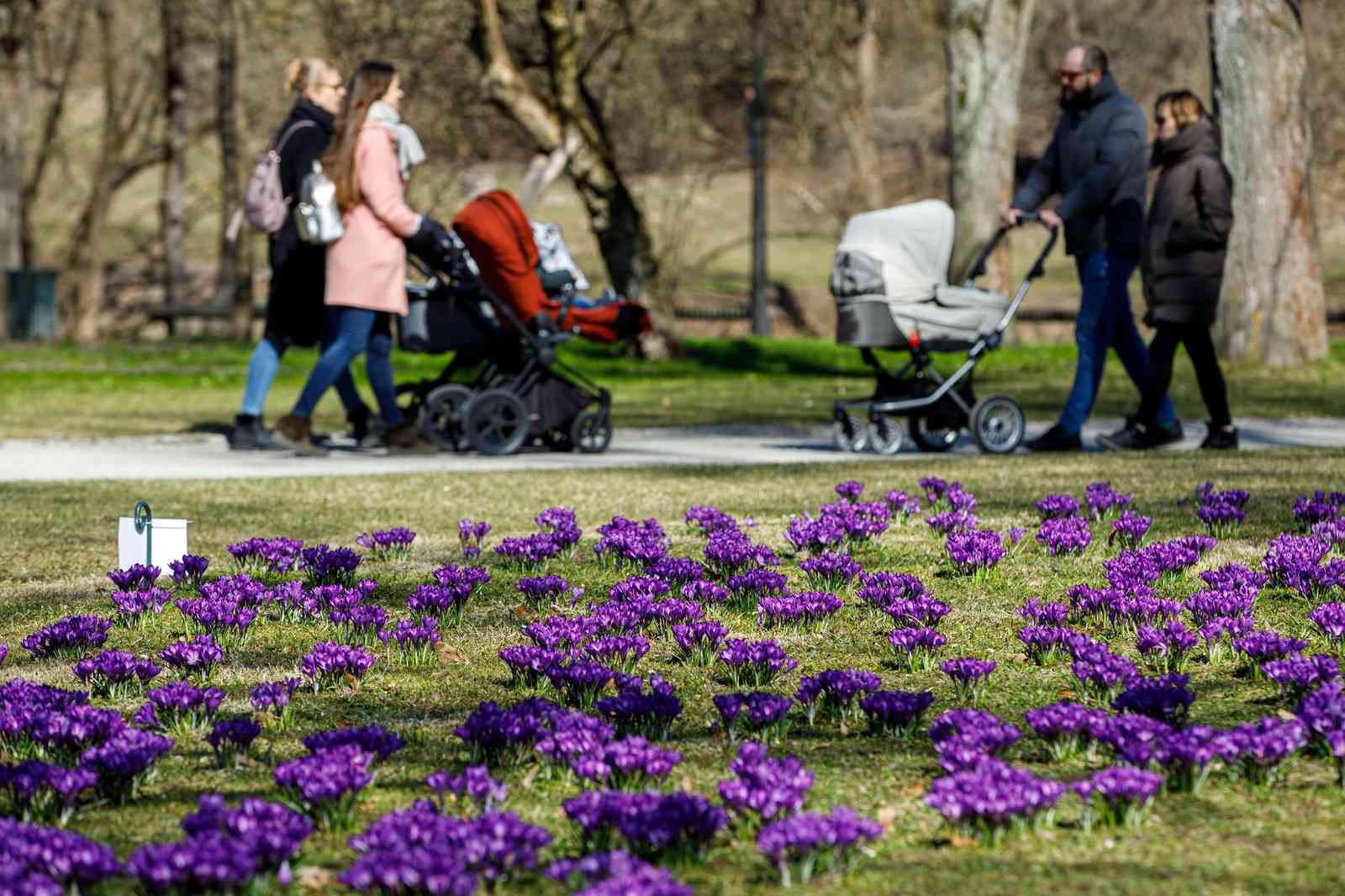 Jundzill-2026-01-31-2-PORTAL