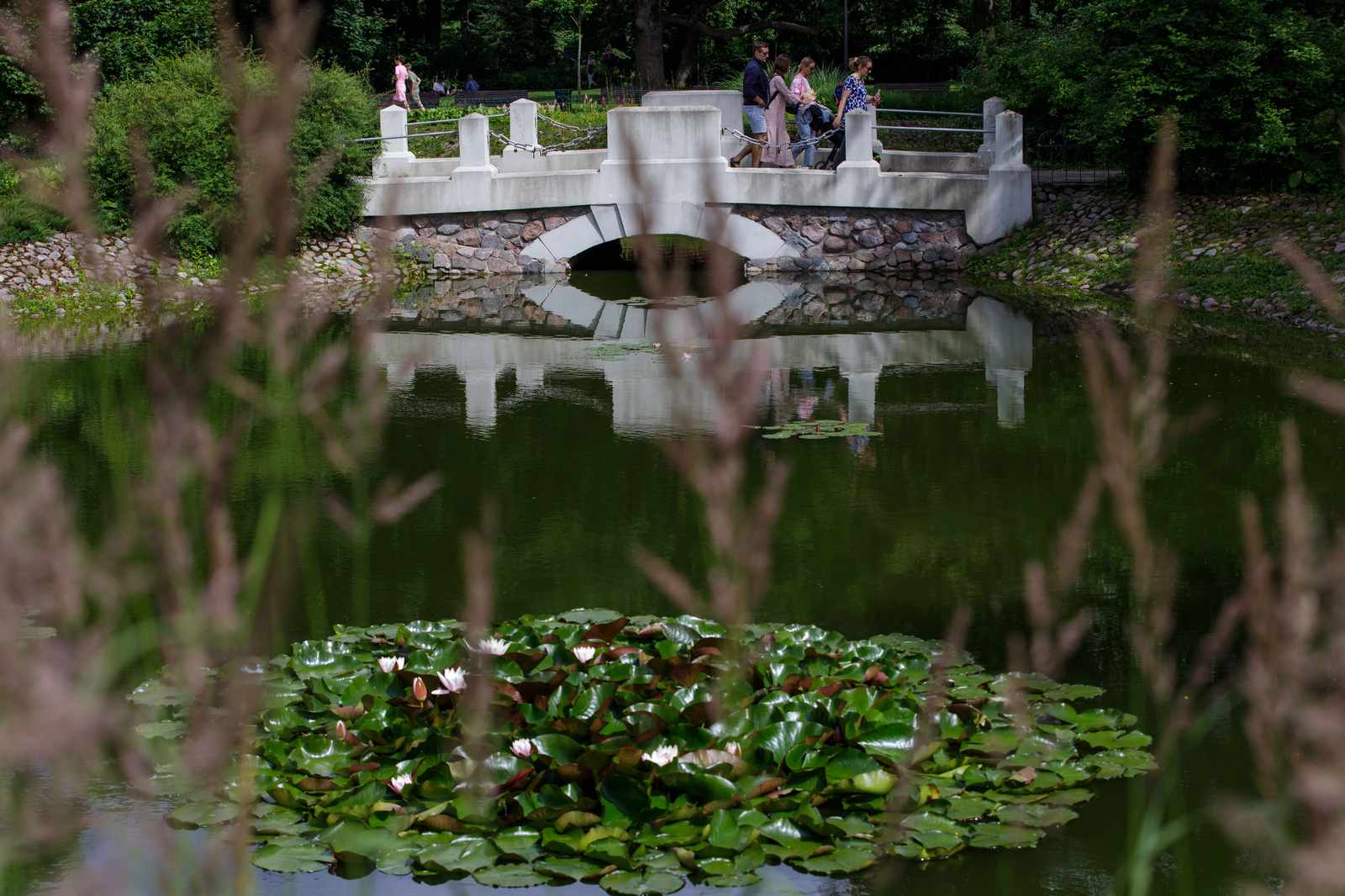 Jundzill-2026-01-31-3-PORTAL