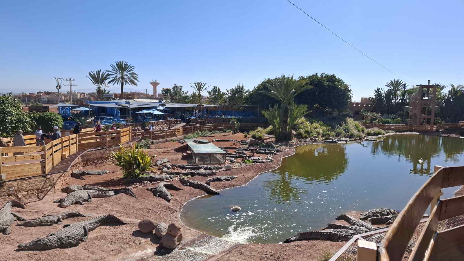 Maroko-2026-01-24-2-PORTAL