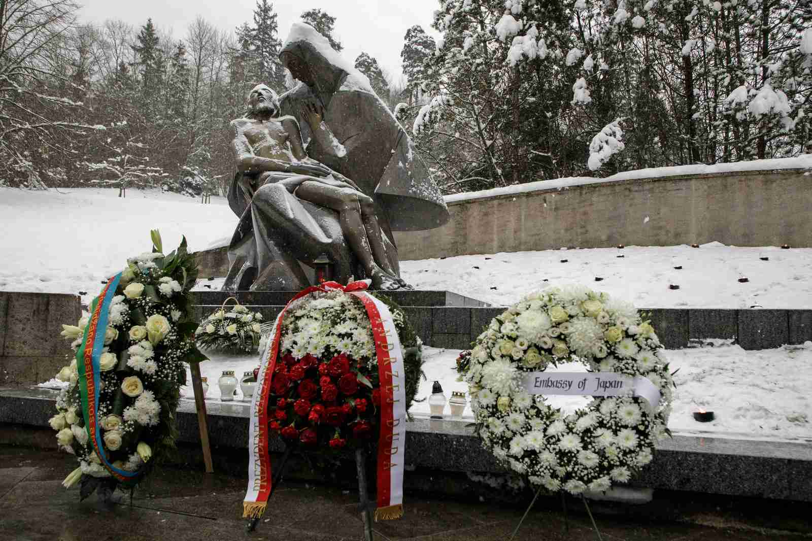 Sedvydis-2026-01-10-4-PORTAL