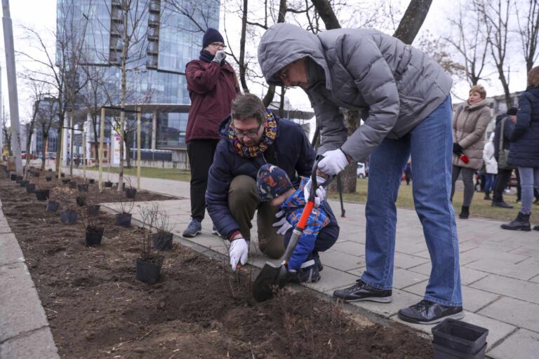 Sondaż jedno, rzeczywistość drugie. Wilno szuka przyczyny rozbieżności wśród mieszkańców