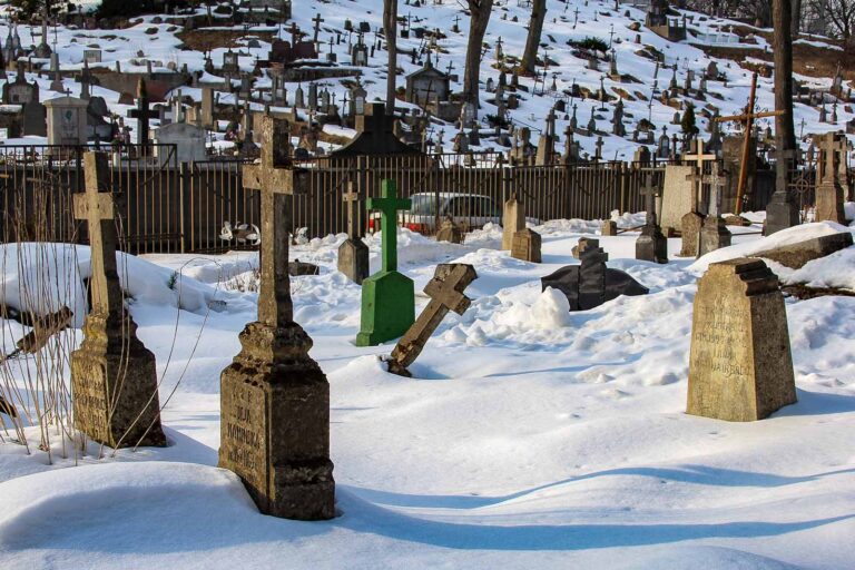 Na cmentarzach Litwy jest wiele podobnych miejsc wymagających opieki, a zachowanie zabytków z XIX w. i pierwszej połowy XX w. wymaga systemowych rozwiązań.