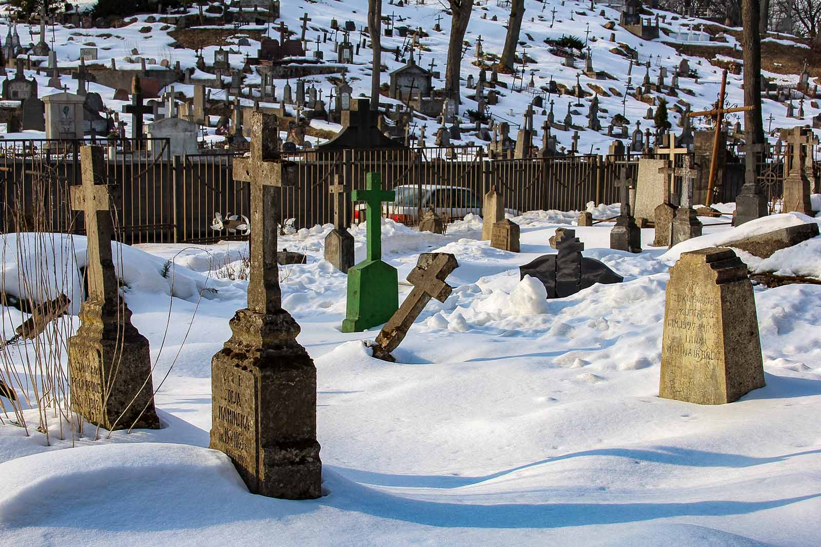 Na cmentarzach Litwy jest wiele podobnych miejsc wymagających opieki, a zachowanie zabytków z XIX w. i pierwszej połowy XX w. wymaga systemowych rozwiązań.