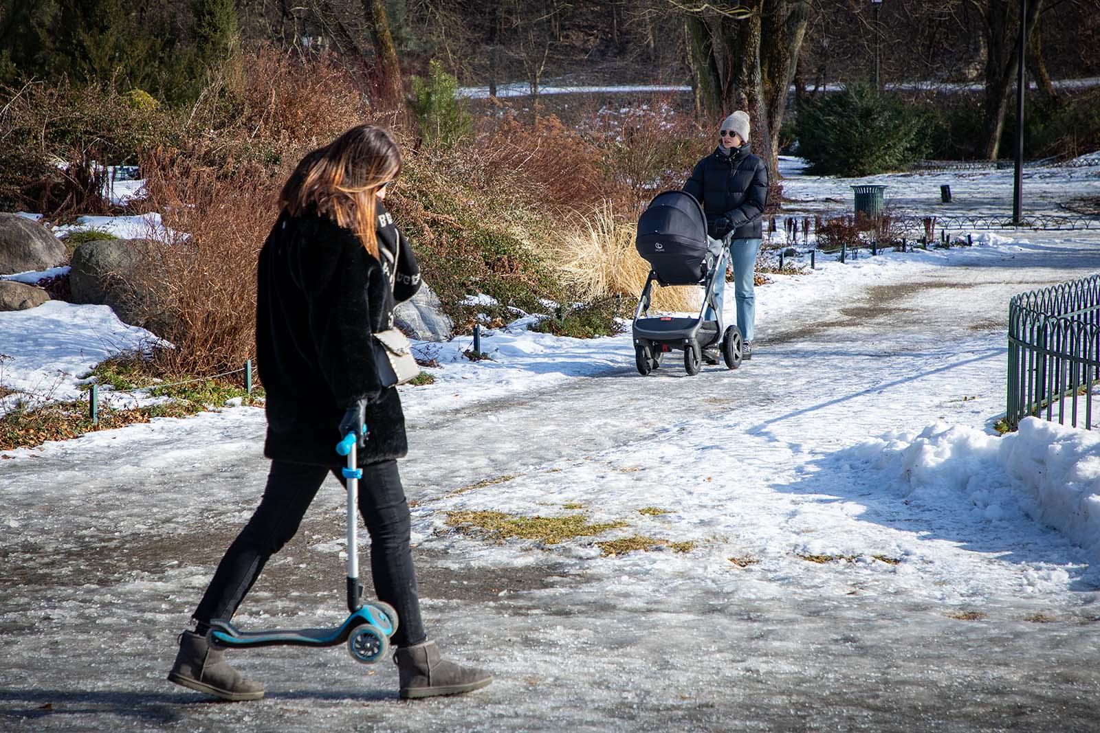 SPOL-demograficzna-2026-02-12