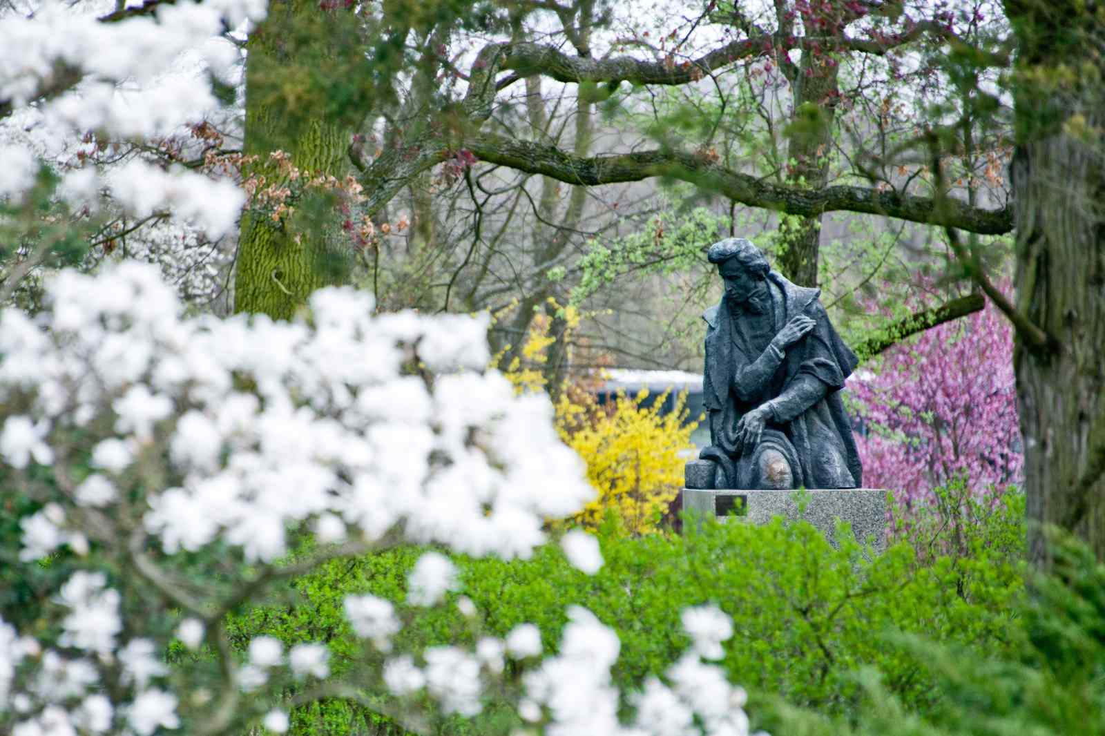 Chopin-2026-02-28-4-PORTAL