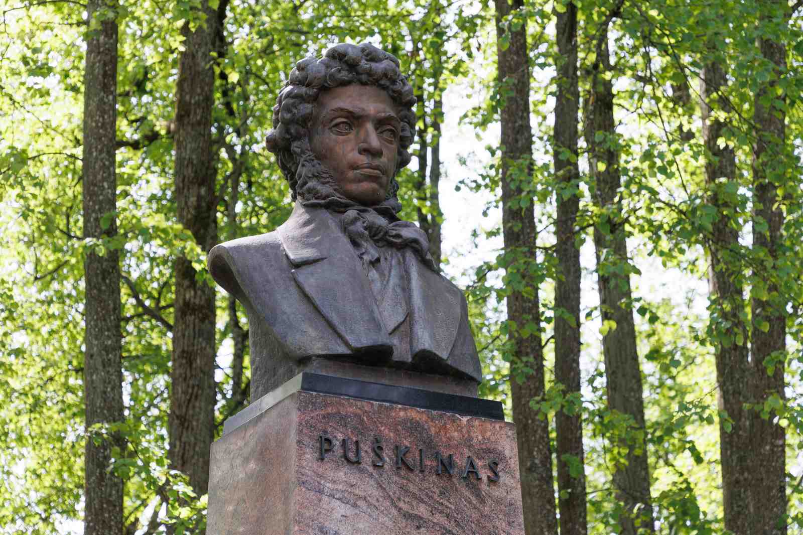 Markucie-2026-03-14-2-PORTAL