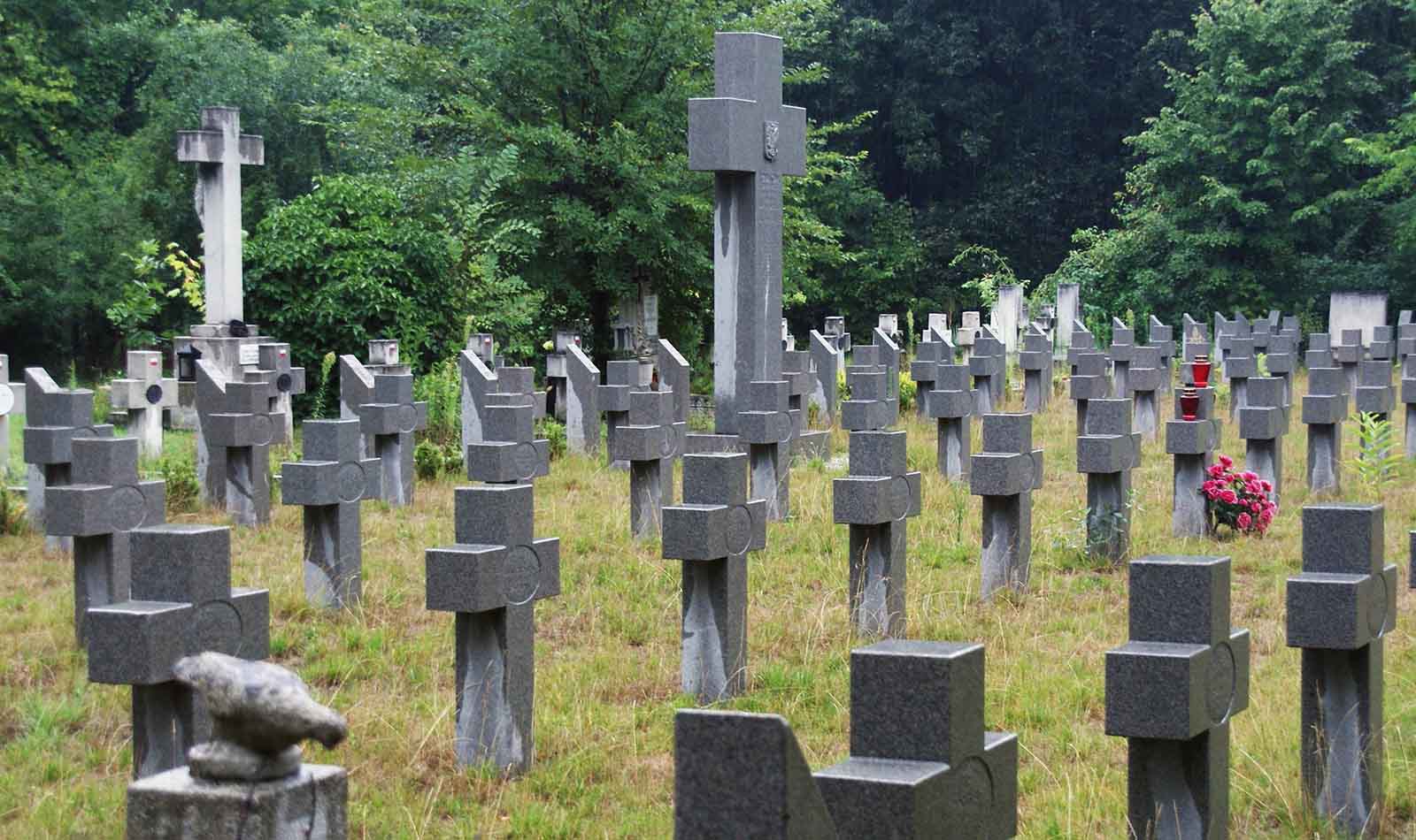 WYDA-Wegierskie-2026-03-31-7