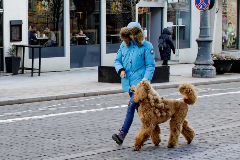 Kobieta z psem na ulicy.