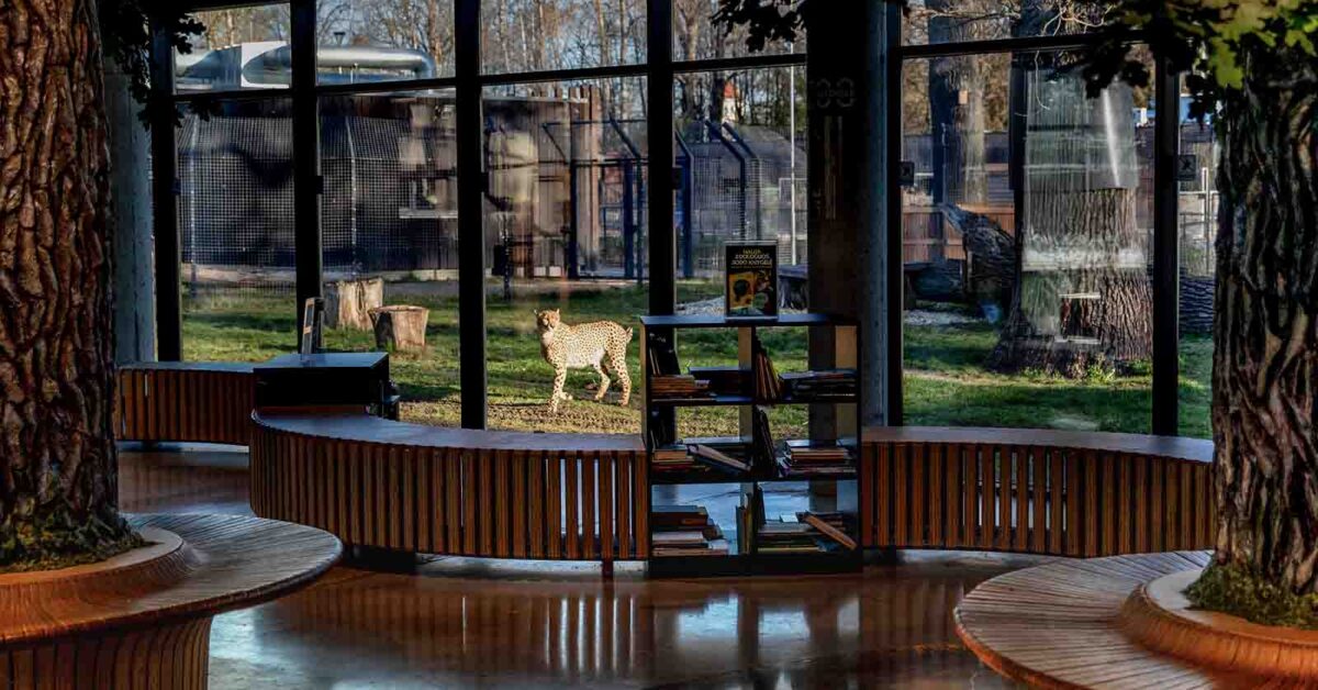 Ważne międzynarodowe wyróżnienie dla litewskiego zoo w Kownie