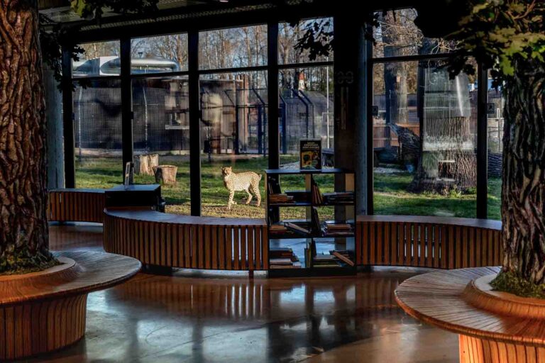 W ogrodzie zoologicznym w Kownie można zobaczyć ponad 2,6 tysiąca zwierząt reprezentujących około 200 gatunków.