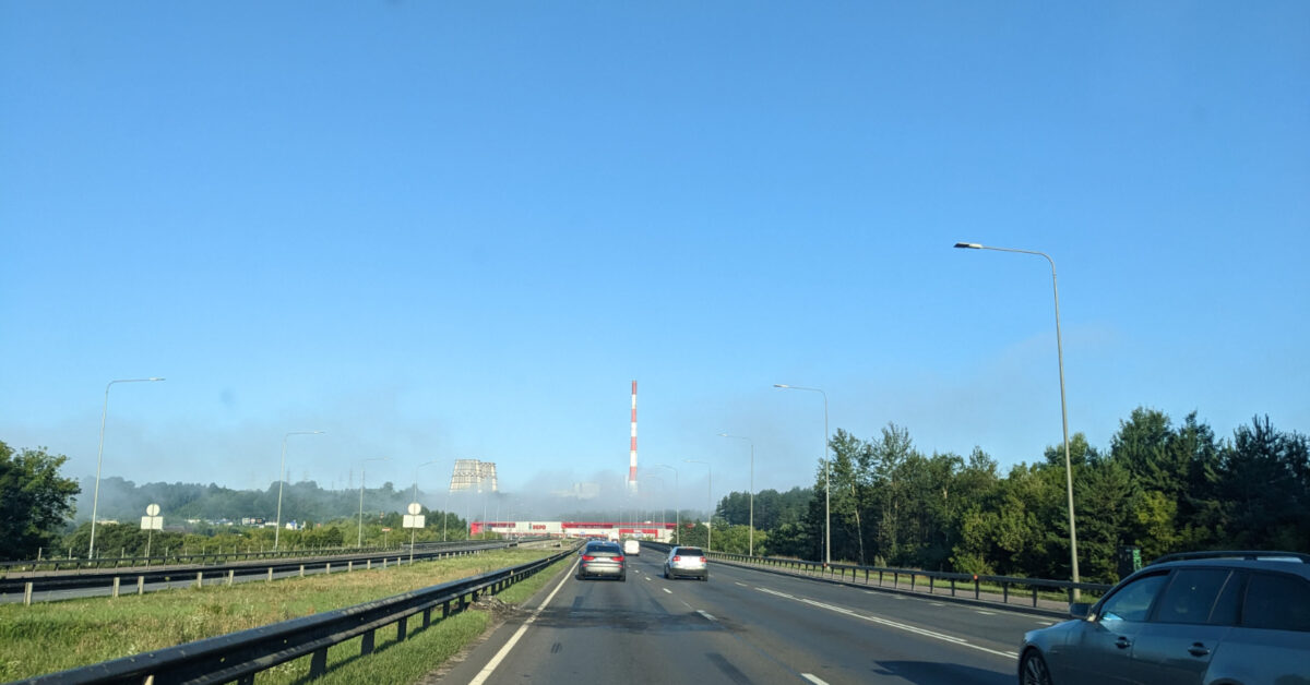 Wiosenne zagrożenie na drogach: więcej zderzeń ze zwierzętami