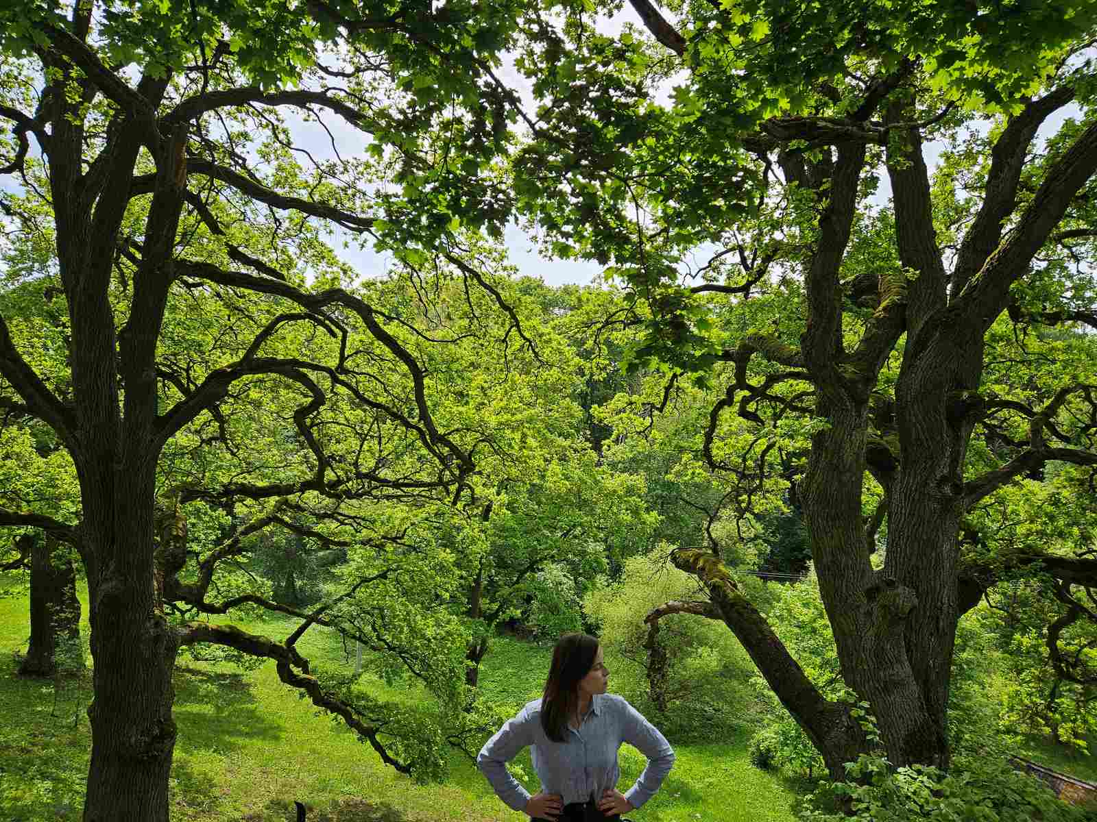 Katarzyna Karpowicz.