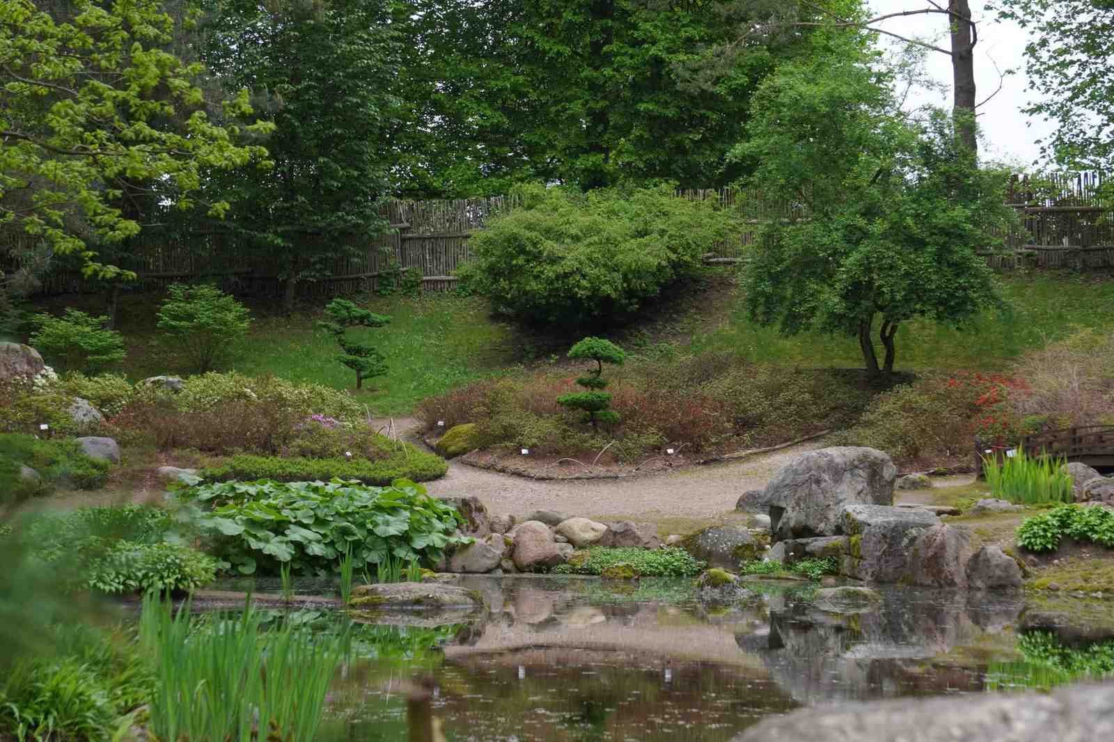 Kojrany-2026-07-04-2-PORTAL