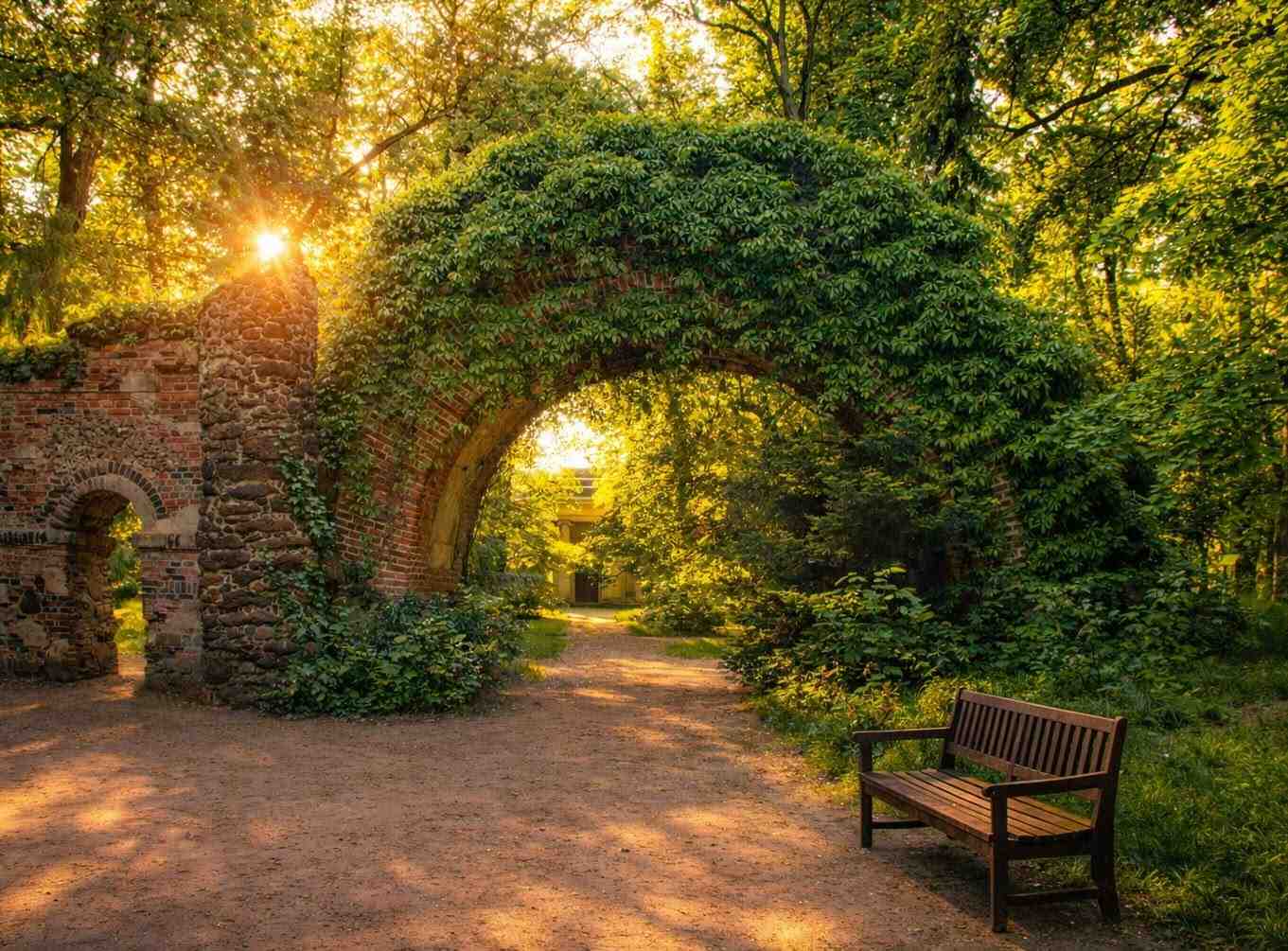 Radziwiłłówna-2026-07-18-5-PORTAL