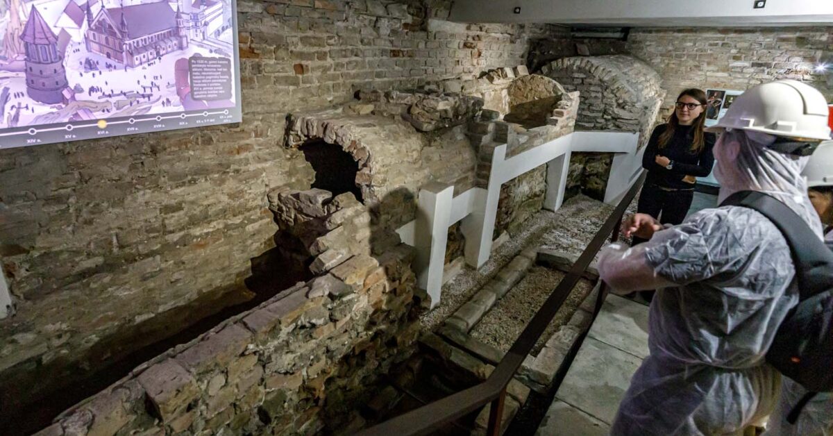 Powstaje projekt utworzenia Panteonu Władców w Katedrze Wileńskiej