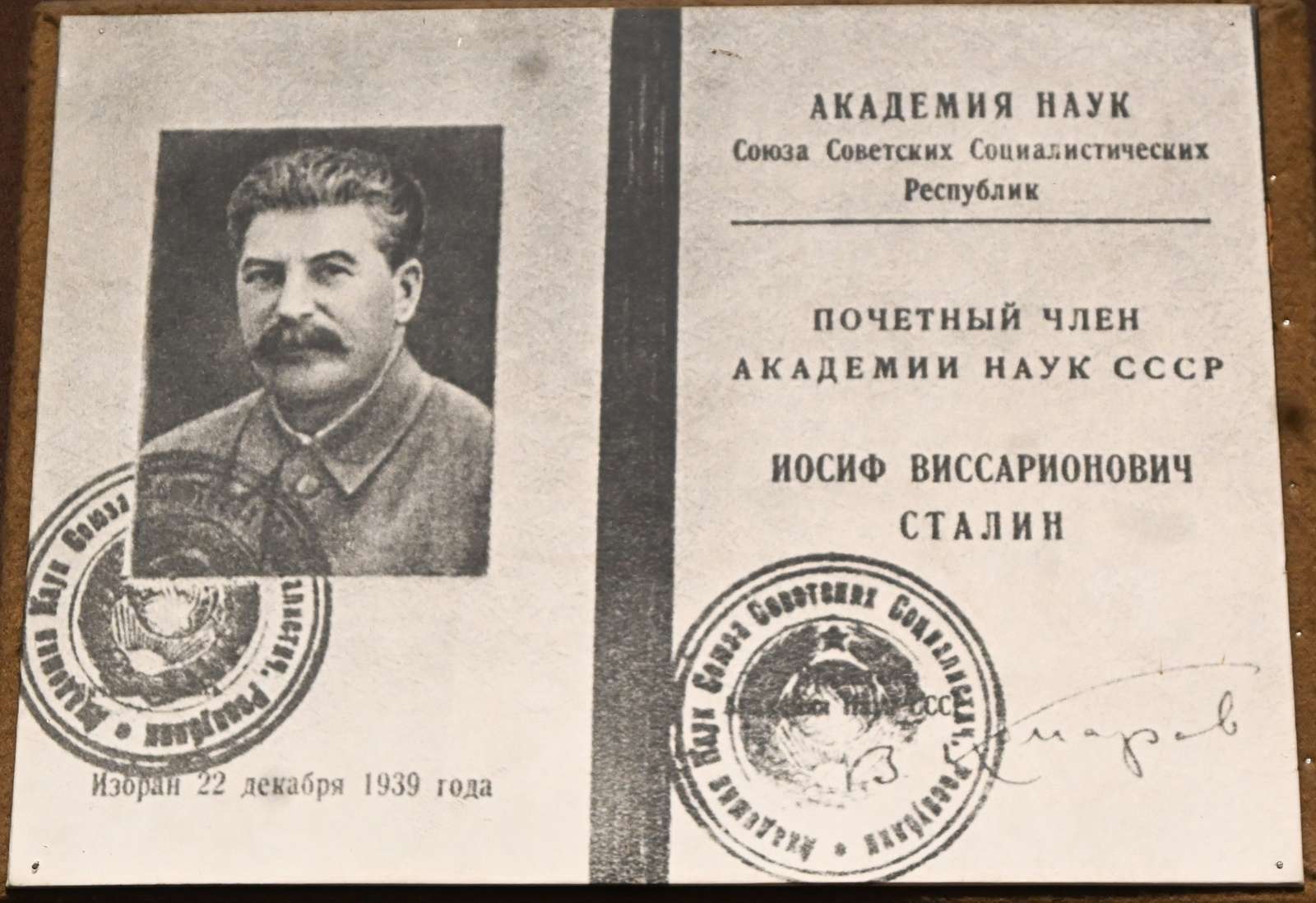 REP-Gori-2026-08-25-2d-PORTAL