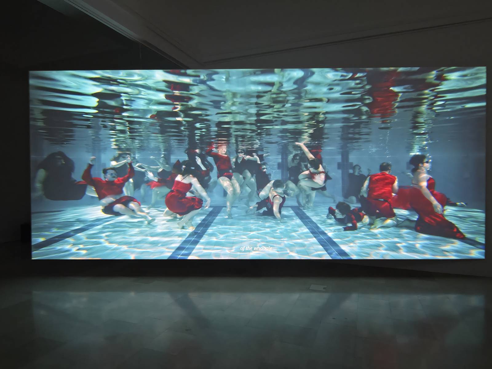 Instalacja „Języki z wody” w polskim pawilonie na Biennale Arte 2026.