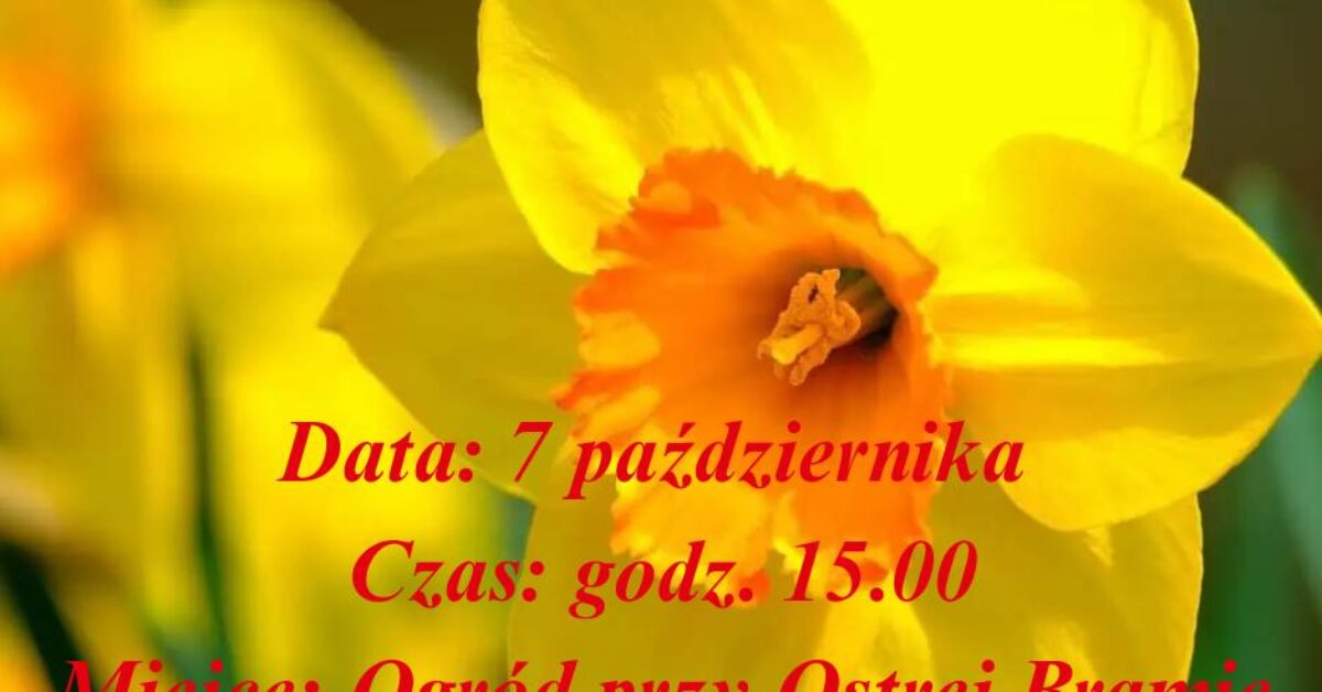 XIII edycja kampanii „Pola Nadziei”